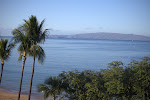 IMGP3288.jpg