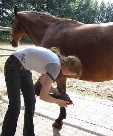 [IMG_0215%255B4%255D.jpg]