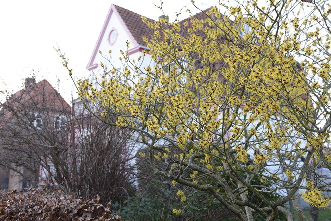 20130205_172728