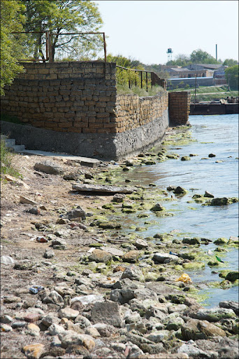 IMG_8559.jpg