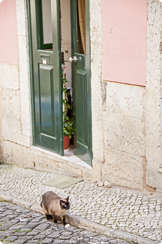 1304_lisbon_0970