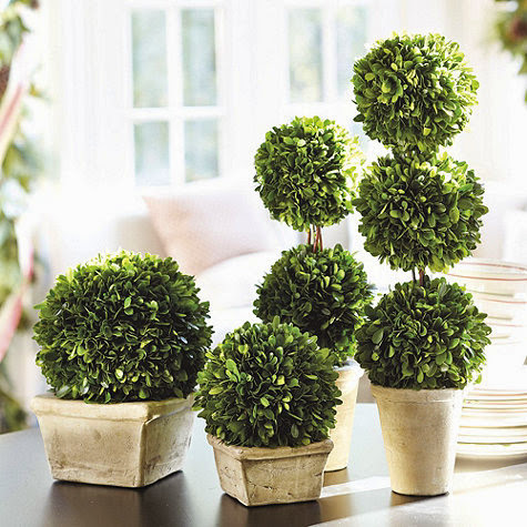 BallardDesignsTopiaries.jpeg Ballard Designs Topiaries