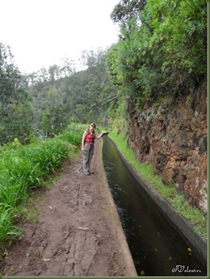SAM_0150 SAM_0150