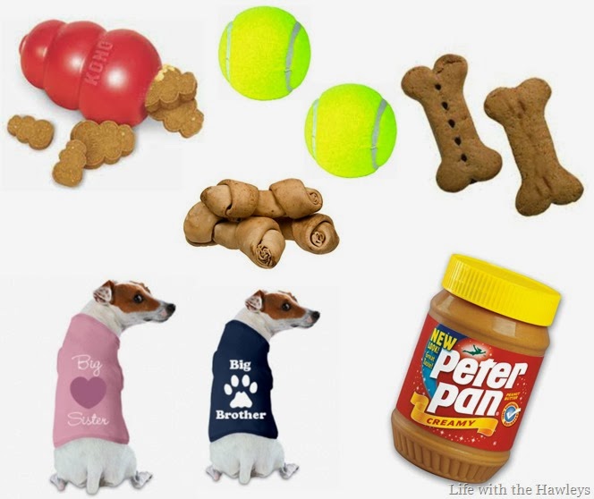 Puppy Christmas List Puppy Christmas List