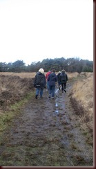 IMG_2448 IMG_2448
