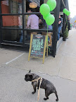 A lot of people tend to drink on St. Patrick's Day, Sharkey!  The holiday falls in the middle of Lent and was one day where the church's restrictions on eating meat and drinking were lifted to celebrate Saint Patrick.