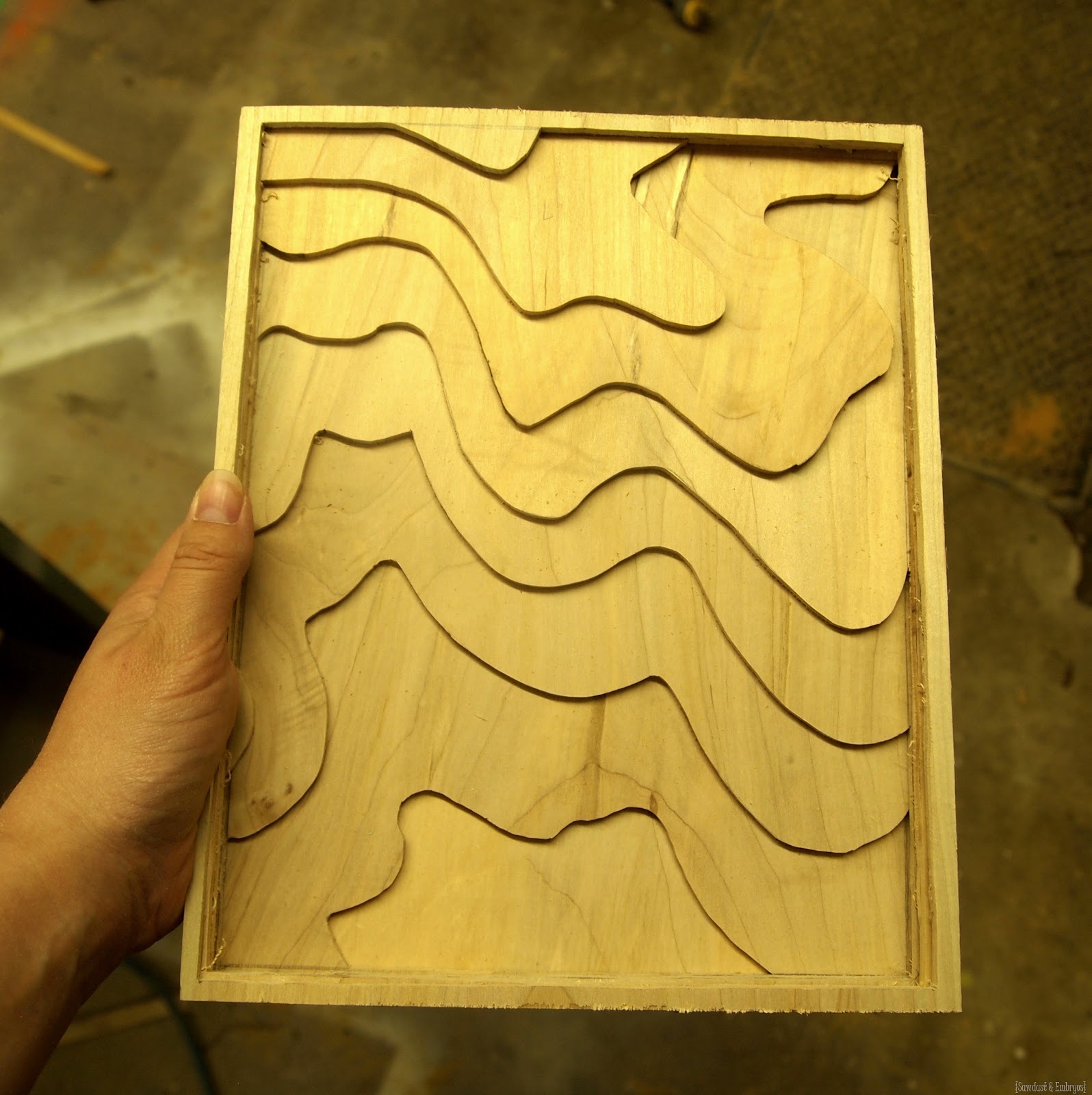 [Wooden%2520Topography%2520Artwork%2520%257BSawdust%2520and%2520Embryos%257D%255B4%255D.jpg]