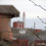 IMG_5991.jpg