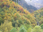 Autumn colours and cascade opposite the barn
www.radicalfish.eu
http://www.skibreezy.com