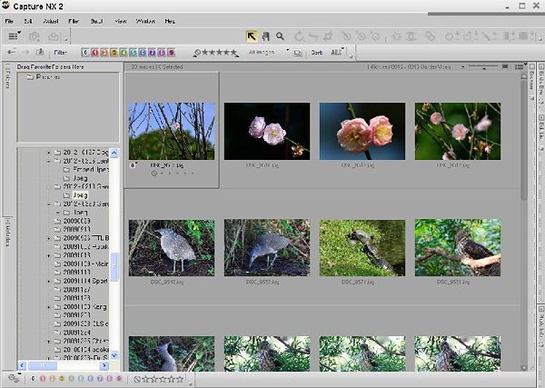 CNX2-Browser 1