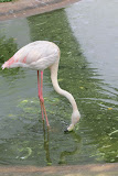 IMG_8396.JPG