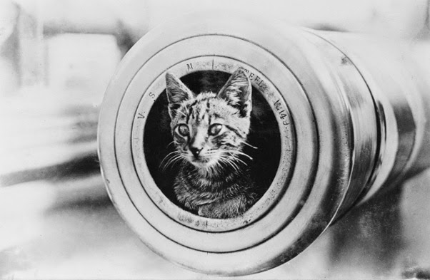 Primeira Guerra Mundial Primeira Guerra Mundial