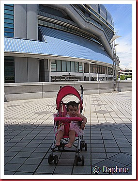 IMG_4910 IMG_4910