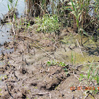 DSCN9507.JPG