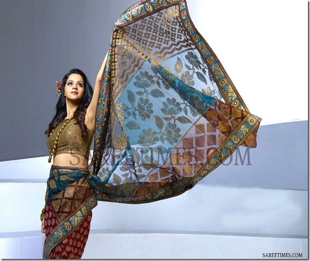 Bhavana_Designer_Saree(2)