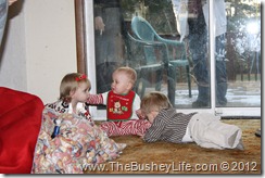 IMG_0542 IMG_0542