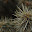 untitled album - 278.jpg