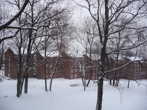 P1000958.JPG