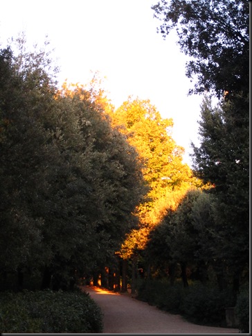 IMG_1171 IMG_1171