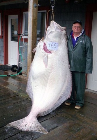 [chobbler%2520picdump%252034%255B3%255D.jpg]