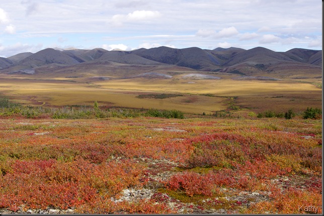 Fall on the Tundra