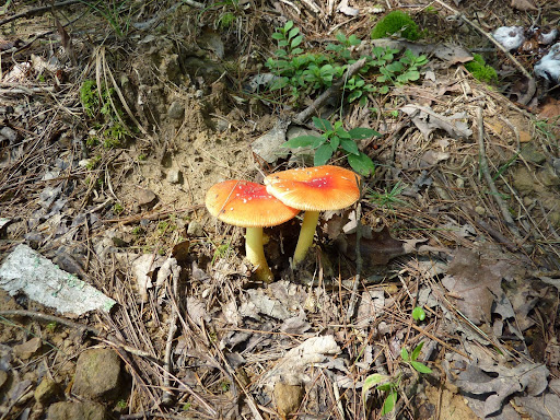 P1120538