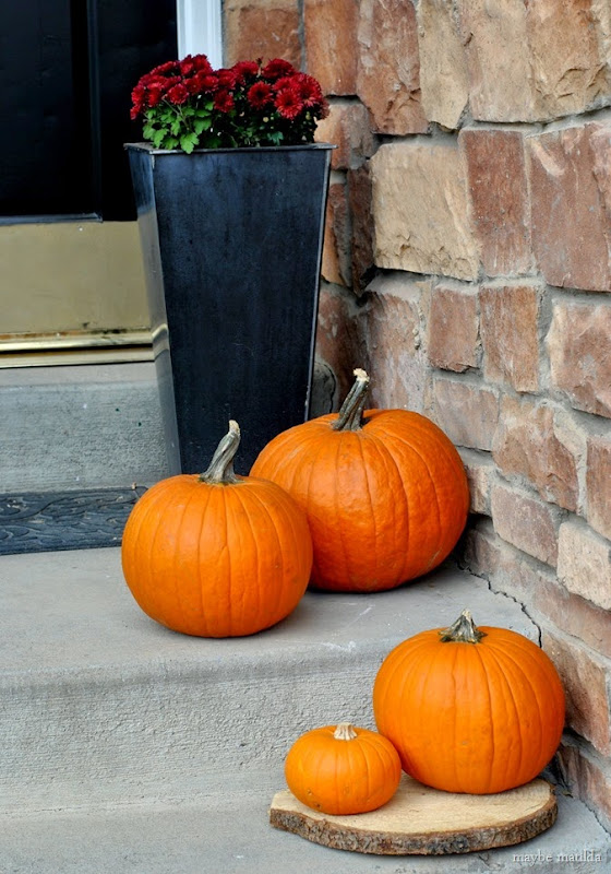 pumpkins and mums