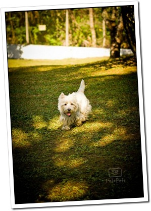 tiby
