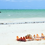 Zanzibar