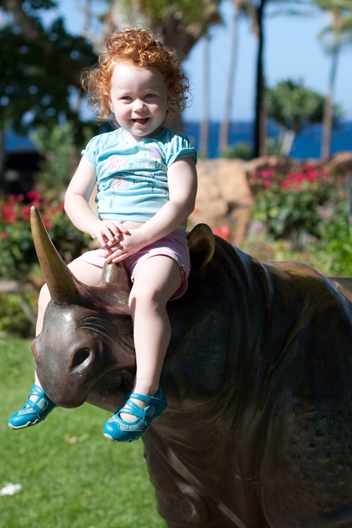 [20121212-IMG_20743.jpg]