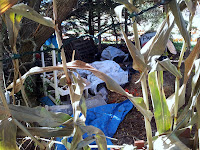 20120929_145025.jpg