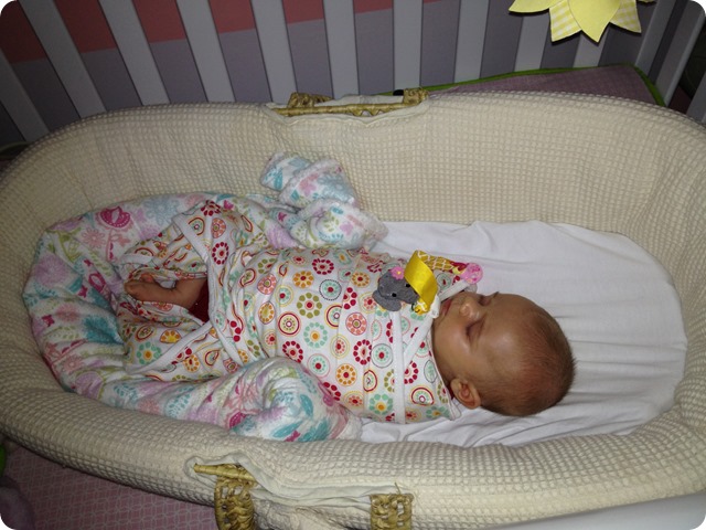 IMG_3720 IMG_3720