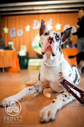 This very stately, yet soft spoken, guy was a winning finalist in category of This very stately, yet soft spoken, guy was a winning finalist in category of