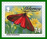 alderney f alderney f