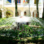 Four fountains surrounded him in the shaded park, creating a welcome calm in the humid air of Cartagena.