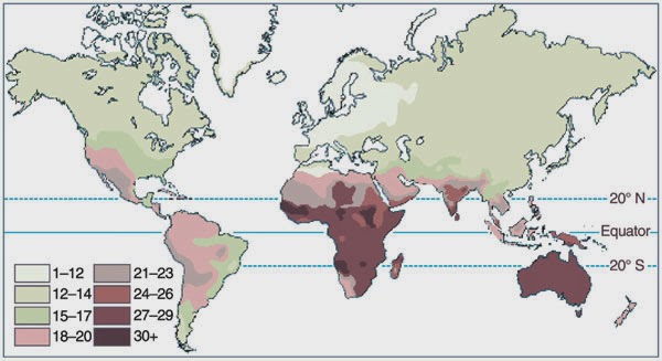 skin color.jpg