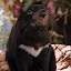 Tasmanian Devil - Hobart, Australia