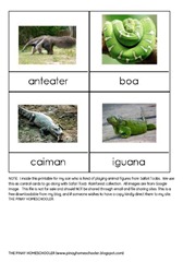Rainforest Animals Control Cards (FREE PRINTABLE)