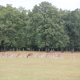 IMG_2787.JPG