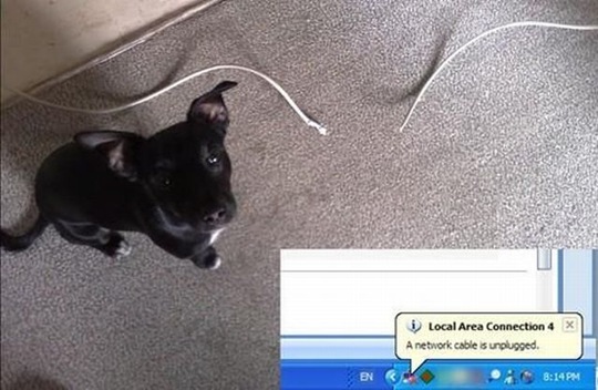 [viral-picdump-pics-46%255B2%255D.jpg]