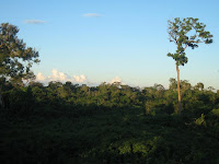IMG_0682.JPG