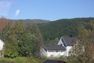 IMG_1948 IMG_1948