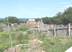 Plimoth plant settlement Plimoth plant settlement