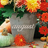 Months-August5bymagic_art