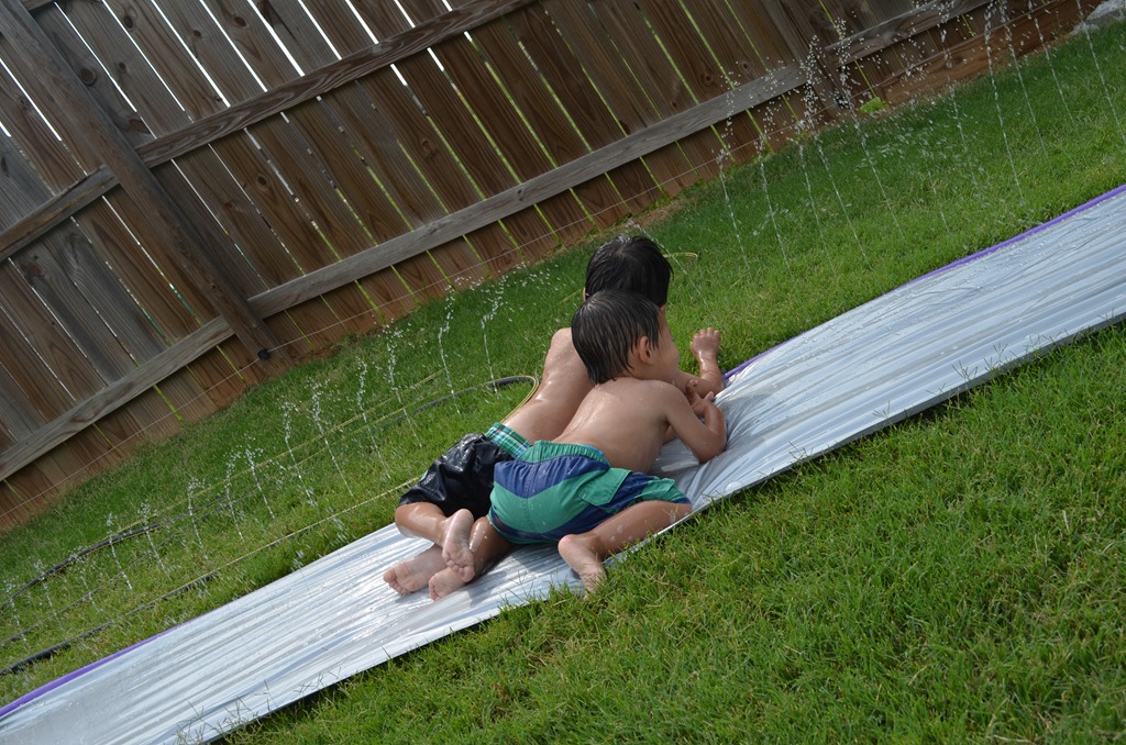 [DSC_14643.jpg]