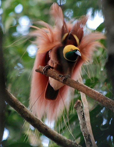 [5940079380_bbc9102e02_z%255B4%255D.jpg]