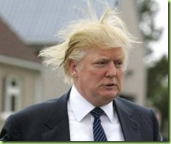 trump the donald's hair