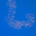 P6033840