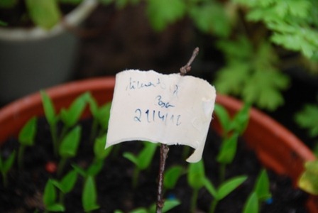 [DSC_0157%255B3%255D.jpg]