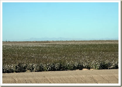 IMG_5450 IMG_5450